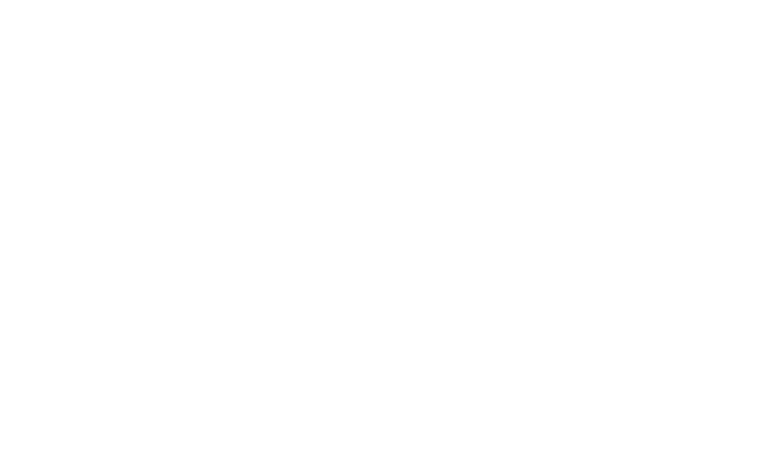 Spigen India